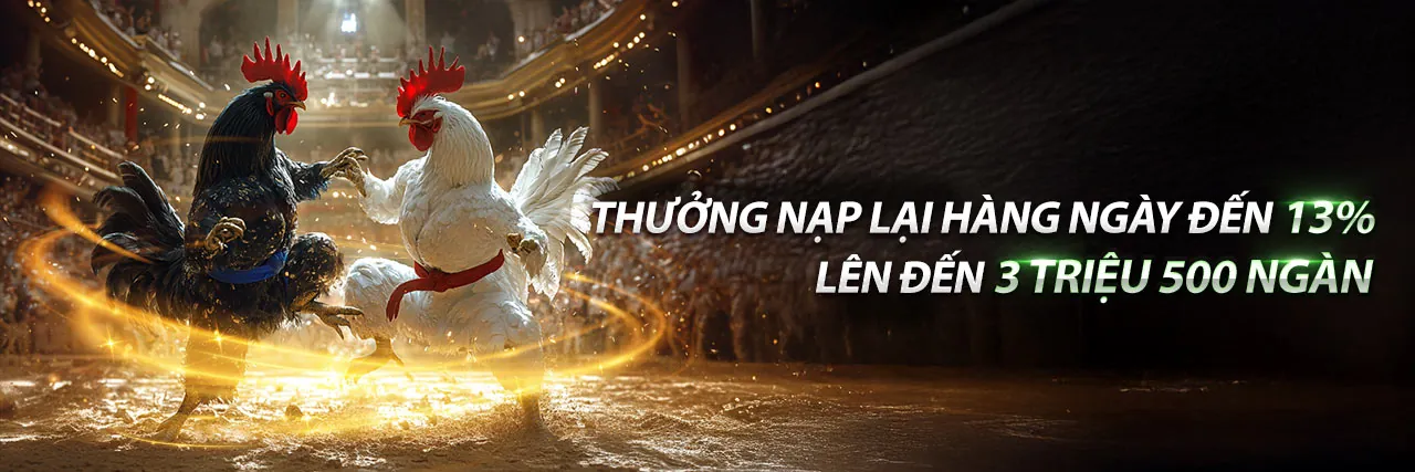 Hướng dẫn cá cược thể thao VN188 Nhà Cái